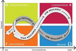 Adaptive-cycle-in-its-four-phases-Exploitation-and-Conservation-form-the-front-loop